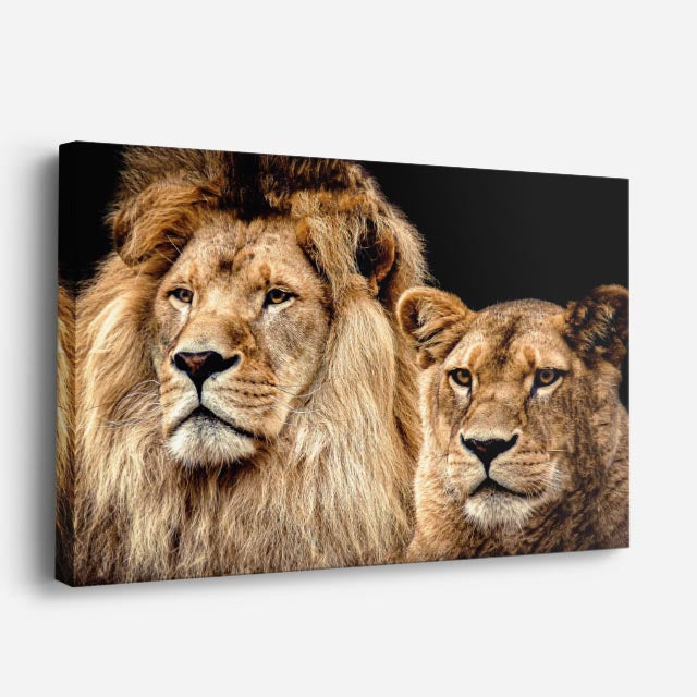 cuadro canvas vida salvaje familia real salvaje horizontal