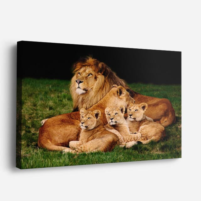 cuadro canvas vida salvaje rey león con cachorros horizontal