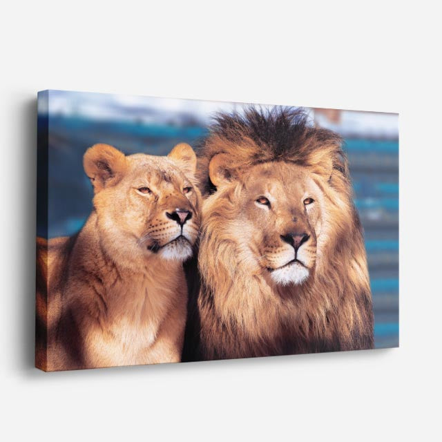cuadro canvas vida salvaje pareja de reyes horizontal