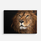 cuadro canvas vida salvaje león alfa retrato horizontal