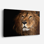 cuadro canvas vida salvaje león alfa retrato horizontal