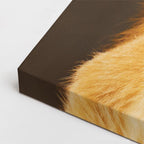 cuadro canvas vida salvaje familia león dorado horizontal