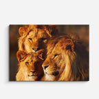 cuadro canvas vida salvaje familia león dorado horizontal
