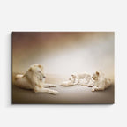 cuadro canvas vida salvaje familia de leones blancos horizontal