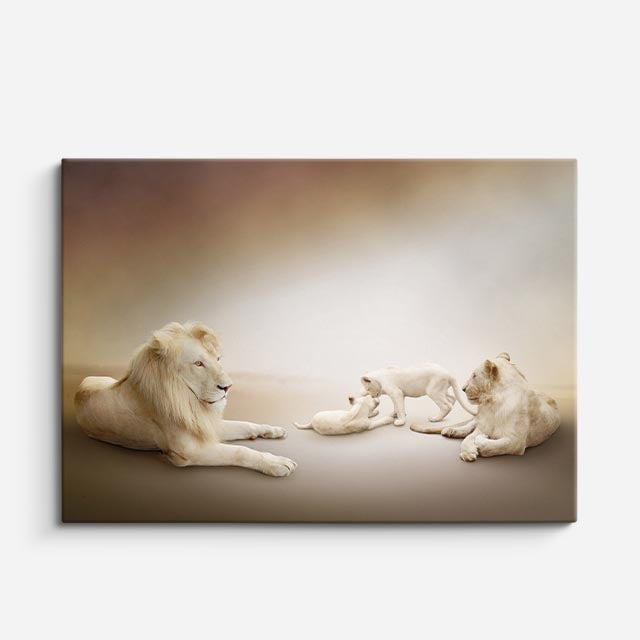 cuadro canvas vida salvaje familia de leones blancos horizontal