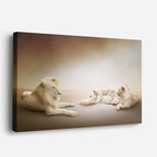 cuadro canvas vida salvaje familia de leones blancos horizontal
