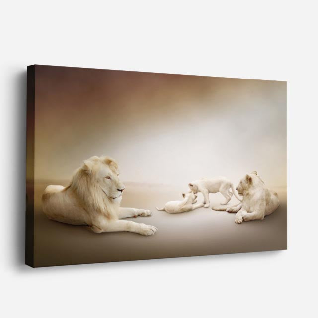 cuadro canvas vida salvaje familia de leones blancos horizontal