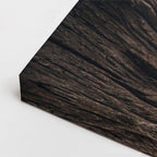 cuadro canvas vida salvaje león rey coronado horizontal
