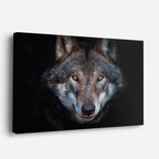 cuadro canvas vida salvaje mirada del lobo salvaje horizontal