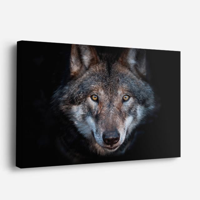 cuadro canvas vida salvaje mirada del lobo salvaje horizontal
