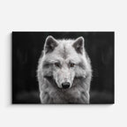 cuadro canvas vida salvaje lobo blanco fantasma horizontal