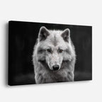 cuadro canvas vida salvaje lobo blanco fantasma horizontal