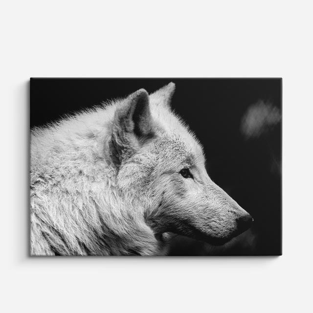 cuadro canvas vida salvaje perfil lobo ártico horizontal