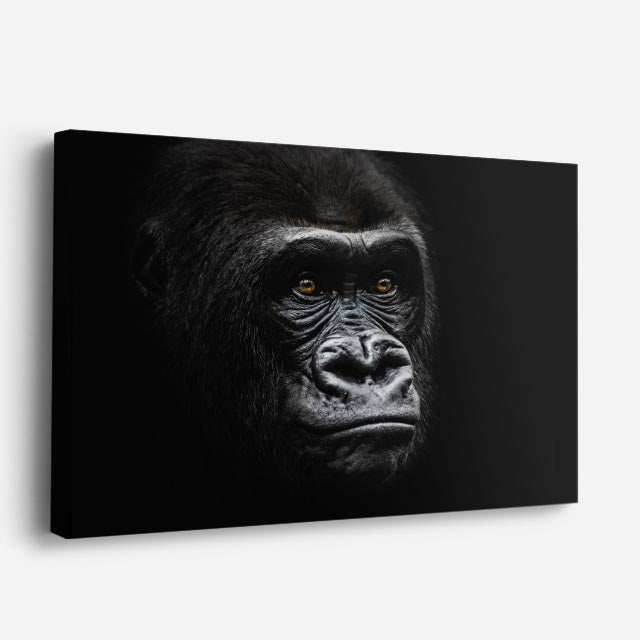 cuadro canvas vida salvaje retrato de gorila alfa horizontal