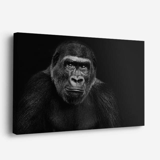 cuadro canvas vida salvaje gorila pensativo horizontal