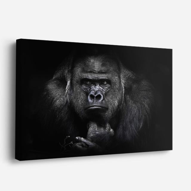 cuadro canvas vida salvaje gorila sabio horizontal