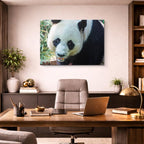 cuadro canvas vida salvaje panda gigante horizontal