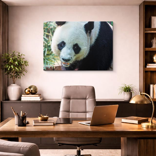 cuadro canvas vida salvaje panda gigante horizontal