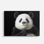 cuadro canvas vida salvaje retrato panda horizontal