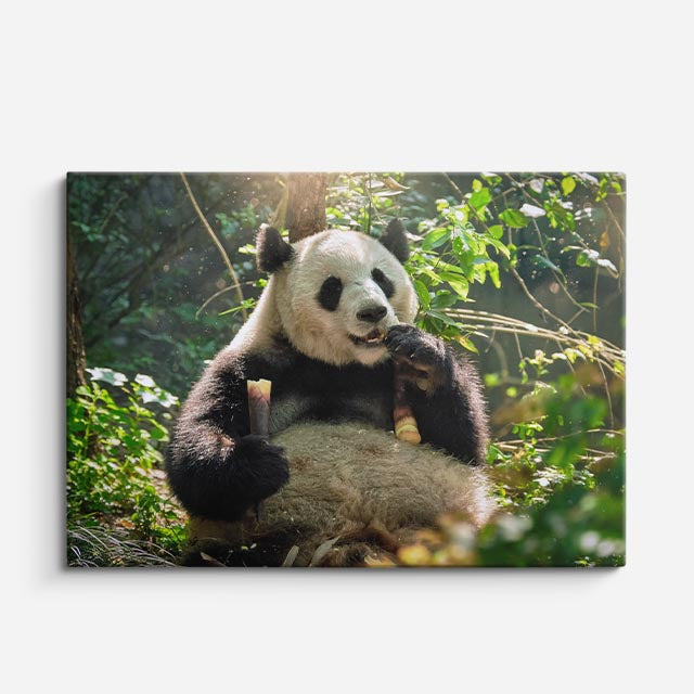cuadro canvas vida salvaje panda entre bambú horizontal