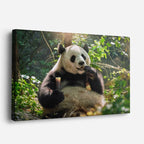 cuadro canvas vida salvaje panda entre bambú horizontal