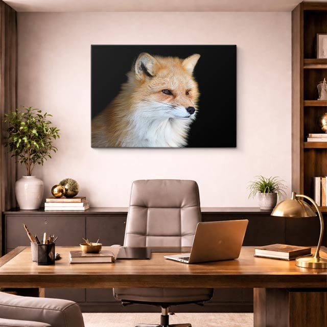 cuadro canvas vida salvaje zorro rojo mirada horizontal