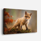 cuadro canvas vida salvaje zorro joven explorador horizontal
