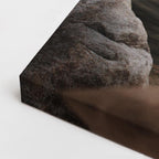 cuadro canvas vida salvaje rinoceronte poder ancestral horizontal
