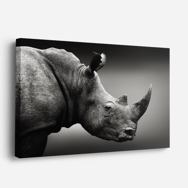 cuadro canvas vida salvaje perfil de rinoceronte horizontal