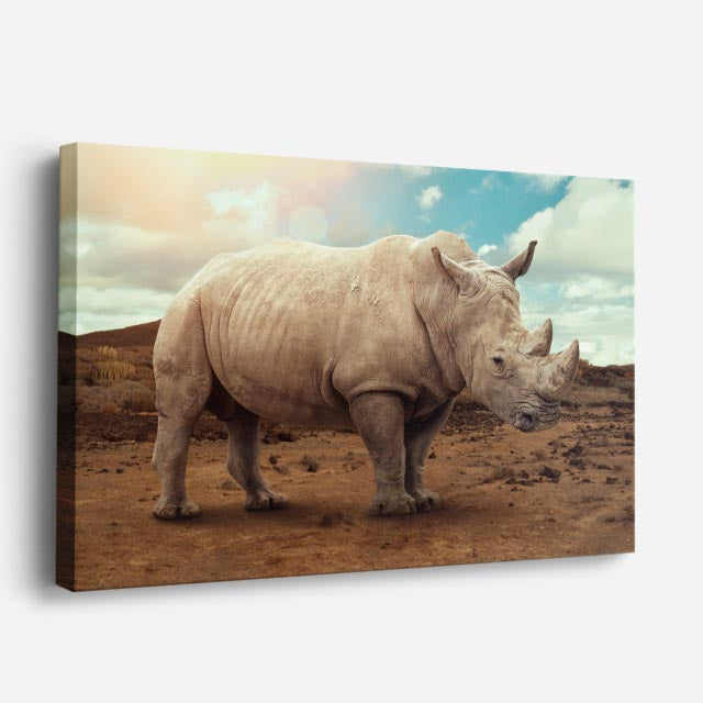 cuadro canvas vida salvaje rinoceronte del desierto horizontal