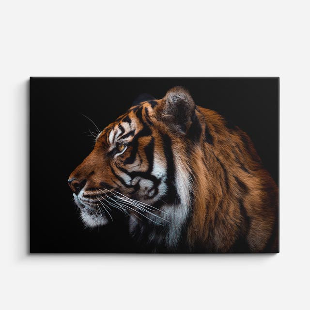 cuadro canvas vida salvaje retrato de tigre horizontal