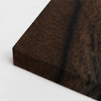 cuadro canvas vida salvaje tigre real perfil horizontal