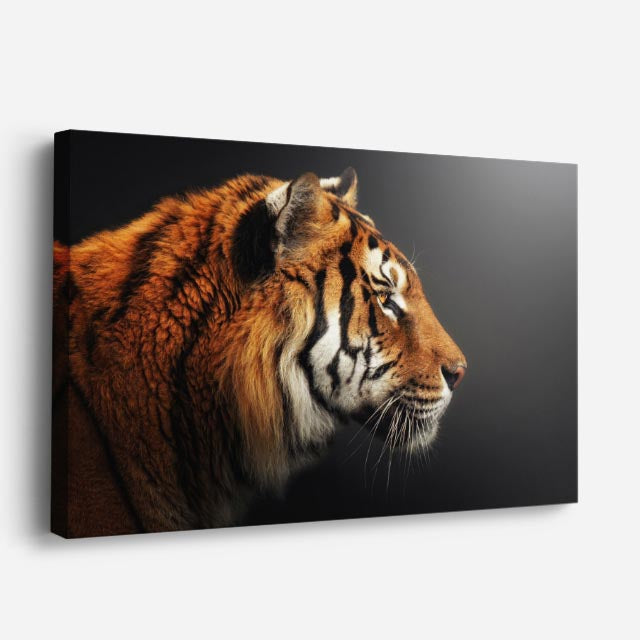 cuadro canvas vida salvaje tigre real perfil horizontal