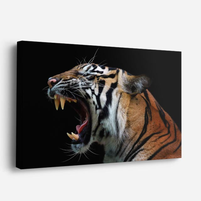 cuadro canvas vida salvaje tigre rugiendo horizontal