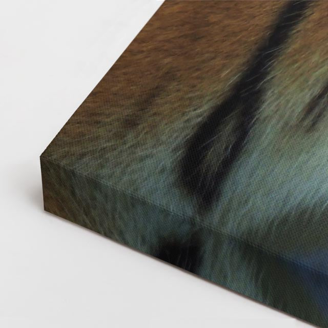 cuadro canvas vida salvaje mirada del tigre horizontal