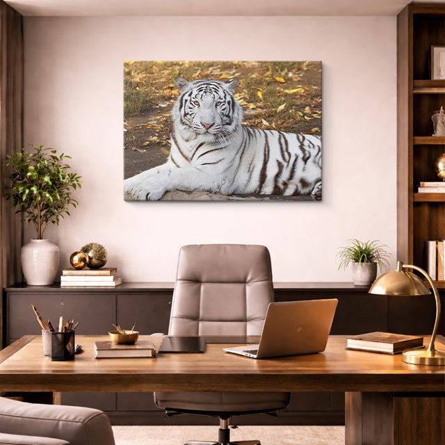 cuadro canvas vida salvaje tigre blanco sereno horizontal