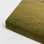 cuadro canvas vida salvaje tigre en la colina horizontal