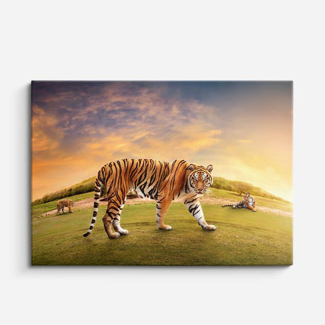 cuadro canvas vida salvaje tigre en la colina horizontal