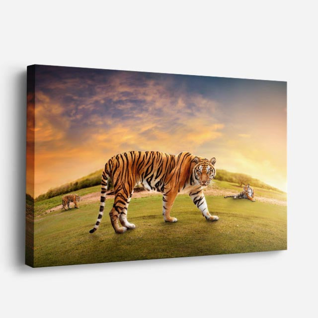 cuadro canvas vida salvaje tigre en la colina horizontal