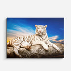 cuadro canvas vida salvaje tigre blanco majestuoso horizontal