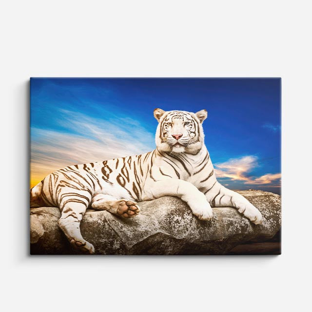 cuadro canvas vida salvaje tigre blanco majestuoso horizontal