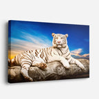 cuadro canvas vida salvaje tigre blanco majestuoso horizontal