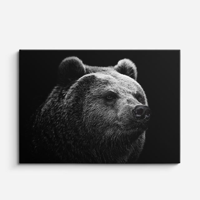 cuadro canvas vida salvaje oso negro retrato horizontal