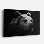 cuadro canvas vida salvaje oso negro retrato horizontal