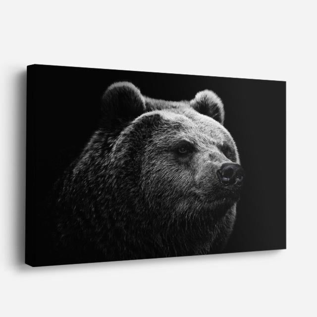 cuadro canvas vida salvaje oso negro retrato horizontal
