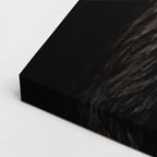 cuadro canvas vida salvaje oso pardo salvaje horizontal