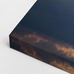 cuadro canvas vida salvaje oso polar del ártico horizontal