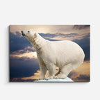 cuadro canvas vida salvaje oso polar del ártico horizontal
