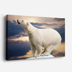 cuadro canvas vida salvaje oso polar del ártico horizontal
