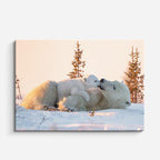 cuadro canvas vida salvaje familia de osos polares horizontal